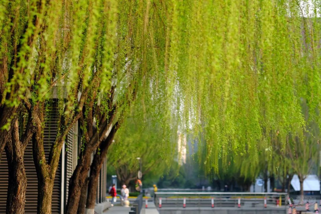 我國航天醫(yī)學(xué)領(lǐng)域取得初步成果