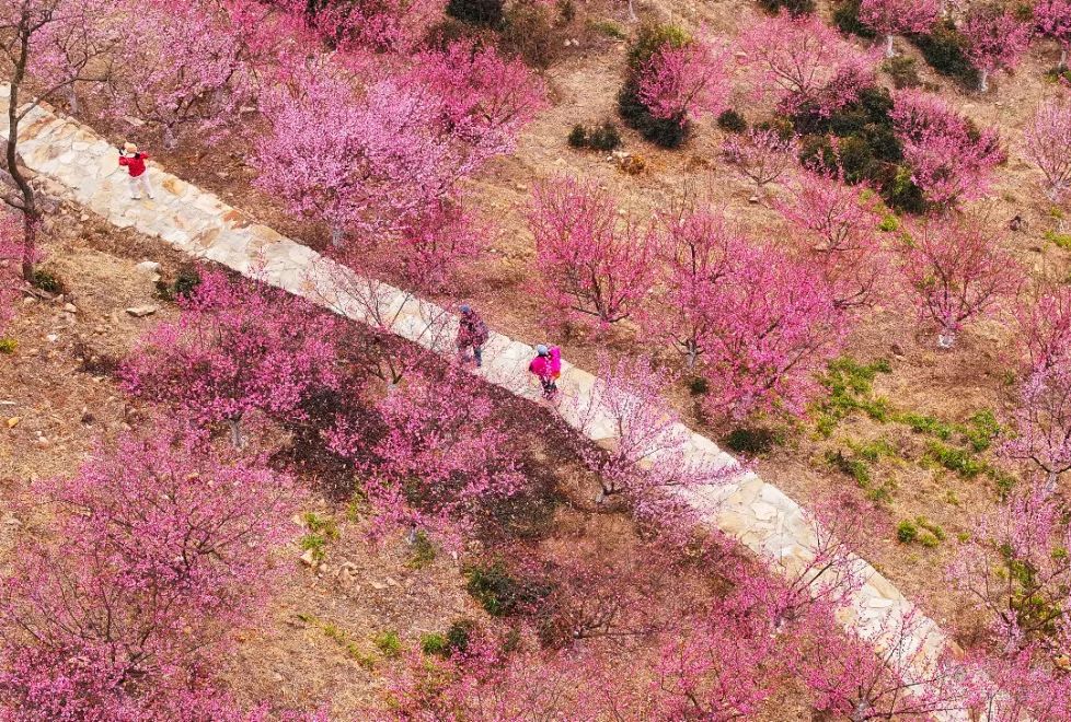 畫面曝光！因故障滯留太空超一個(gè)月，美宇航員堅(jiān)信飛船能安全返航
